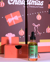 Load image into Gallery viewer, TreasureTress 25 days of Christmas Advent Calendar🎄 2025