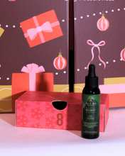 Load image into Gallery viewer, TreasureTress 25 days of Christmas Advent Calendar🎄 2025
